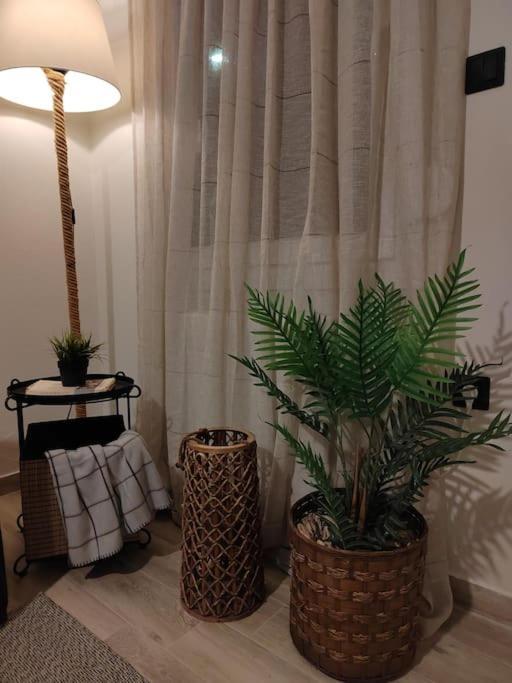 Cosy House With Garden Apartment Волос Екстериор снимка